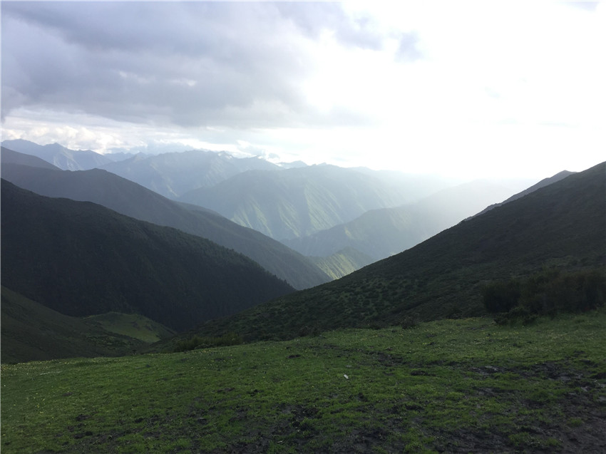 牧場遠(yuǎn)眺。.jpg