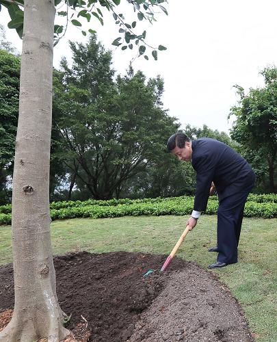 2012年12月7日至11日，習(xí)近平在廣東省考察工作。這是8日上午，習(xí)近平在深圳蓮花山公園種下一棵高山榕樹。新華社記者 蘭紅光 攝