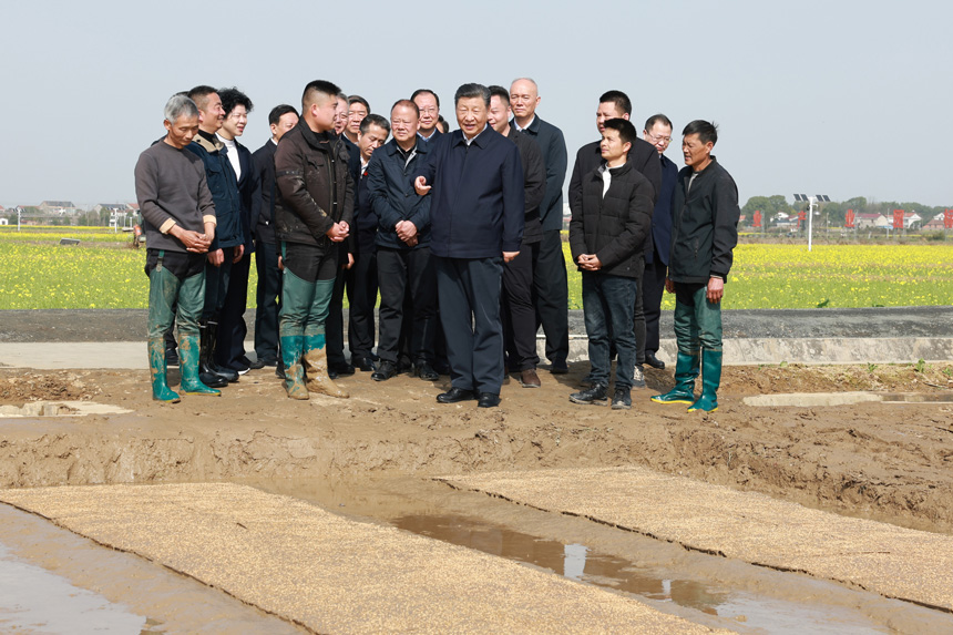 2024年3月18日至21日，中共中央總書記、國家主席、中央軍委主席習(xí)近平在湖南考察。這是19日下午，習(xí)近平在常德市鼎城區(qū)謝家鋪鎮(zhèn)港中坪村走進(jìn)田間，察看秧苗培育和春耕備耕進(jìn)展。新華社記者 王曄 攝